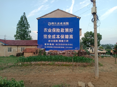 洪湖墙体广告为何受追捧？