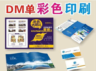 洪湖单页印刷,色彩搭配简单。